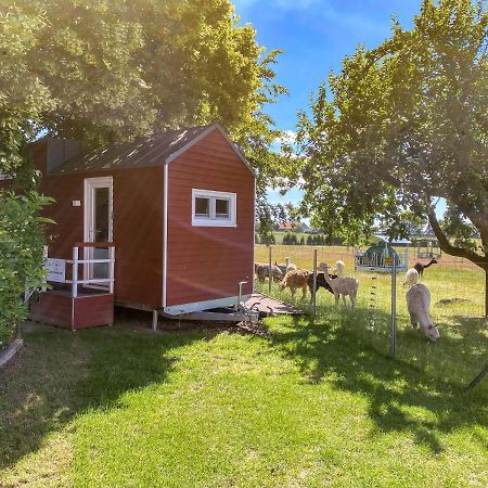 Rubkow Tiny House Auf Der Alpaka Farm 빌라 외부 사진