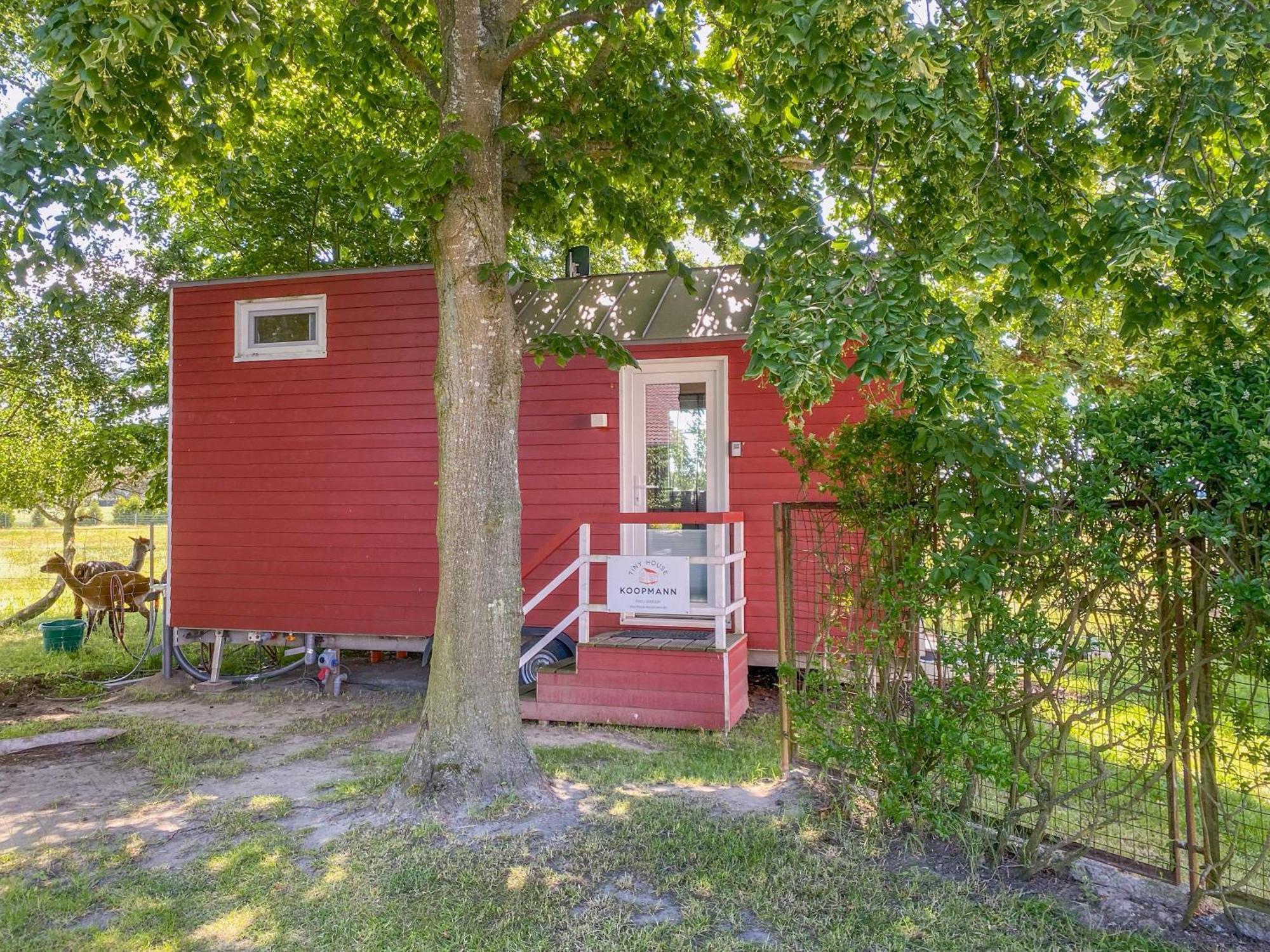 Rubkow Tiny House Auf Der Alpaka Farm 빌라 외부 사진